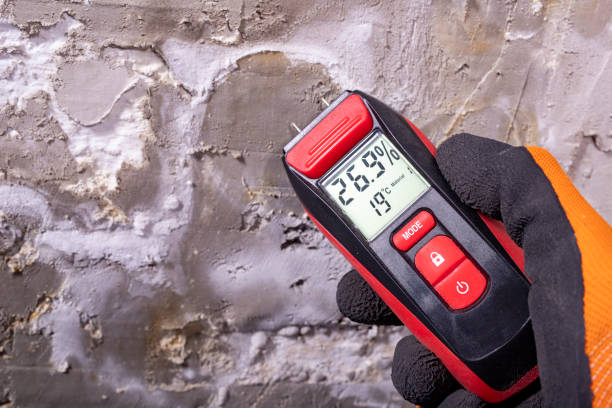 Best HVAC Mold Remediation in Shoreview, MN