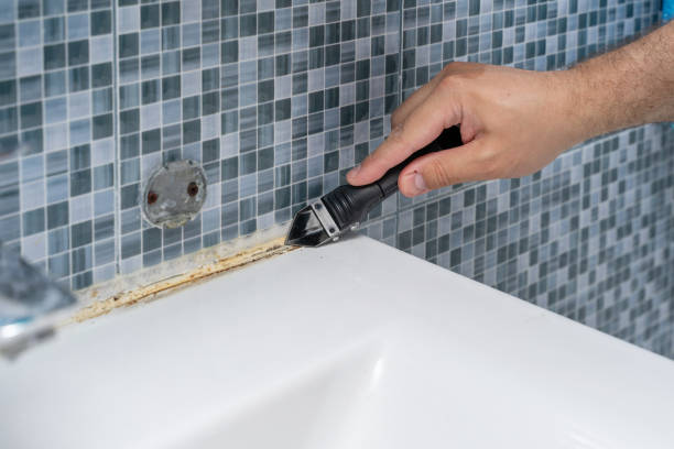 Shoreview, MN Mold Remediation Company